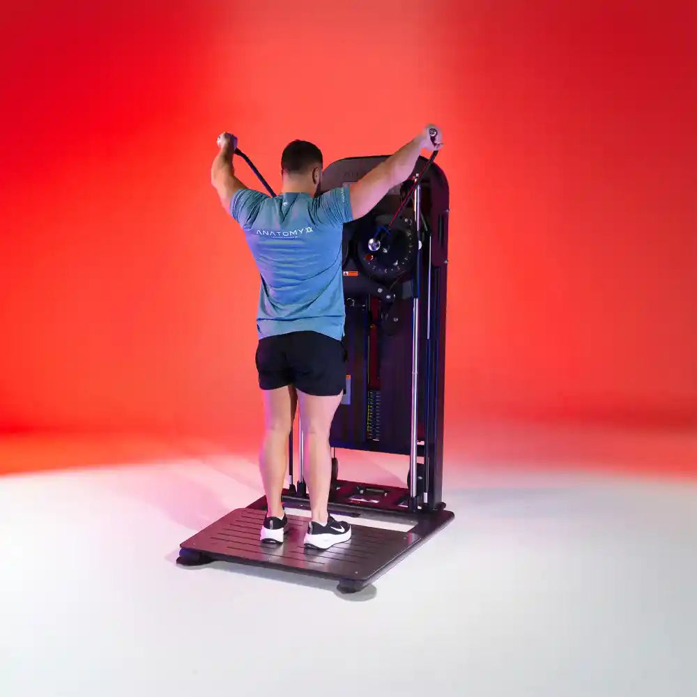 Anatomy Flexora Standing Lateral Raise