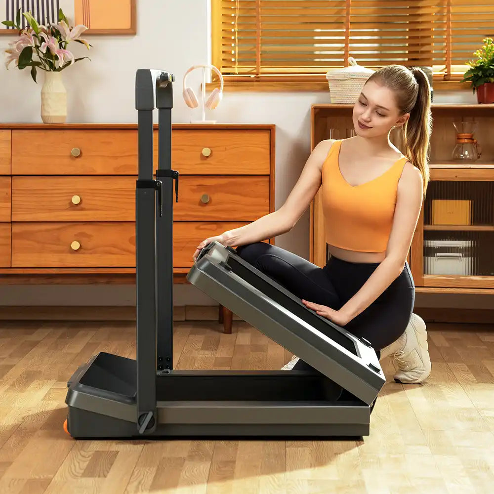 King Smith Foldable Treadmill Z3 Hybrid - 1 HP (Pre-Order)