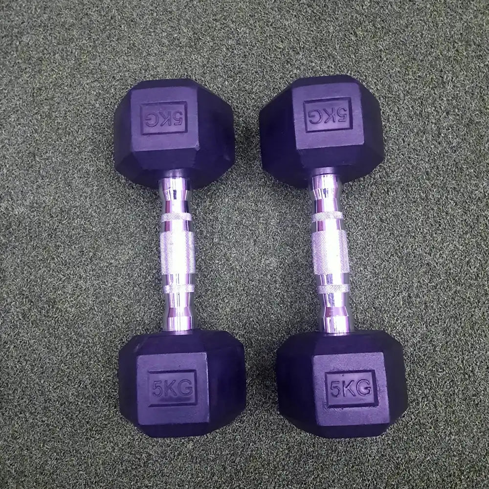 Hex Dumbbells - 20 kg Pair USED
