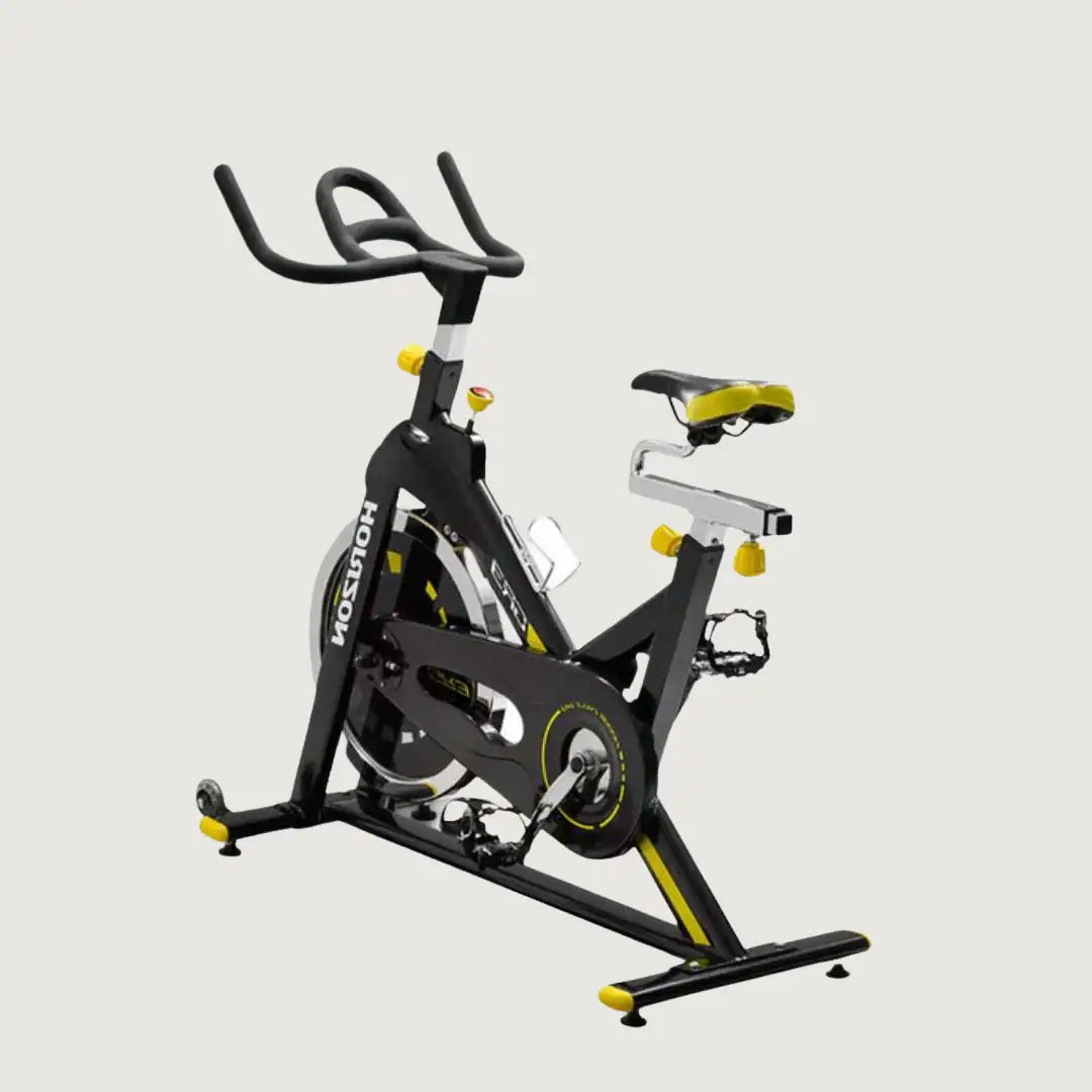 Horizon GR6 Indoor Cycle