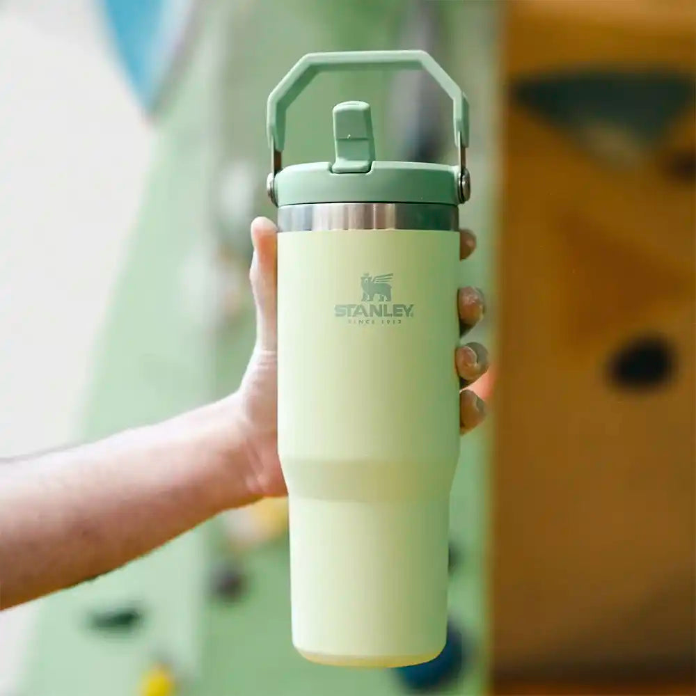 Stanley IceFlow™ Flip Straw Tumbler - Citron