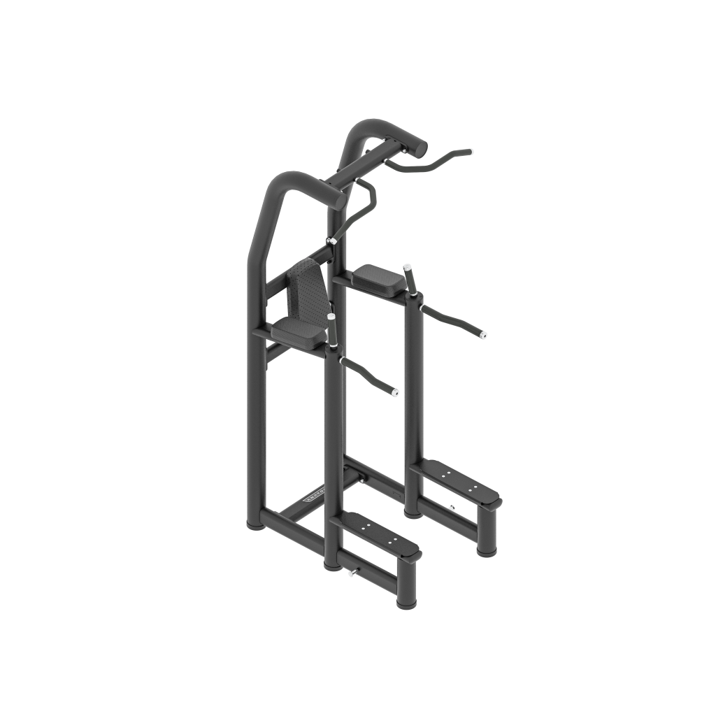 Anatomy Vertical Knee Raise/Dip
