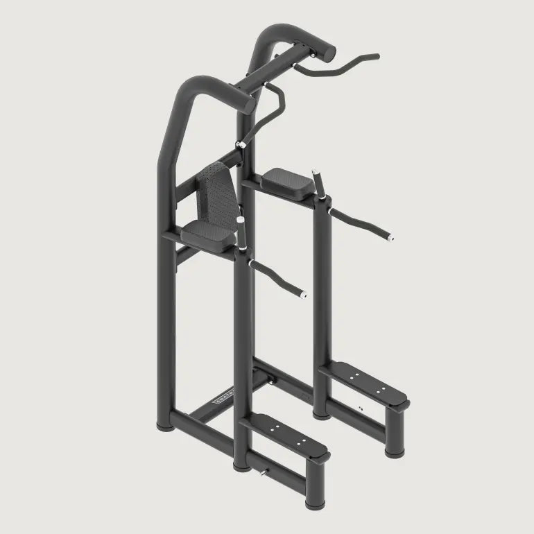 Anatomy Vertical Knee Raise/Dip