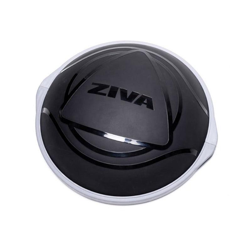 Ziva Balance Ball-Balance Ball-Pro Sports