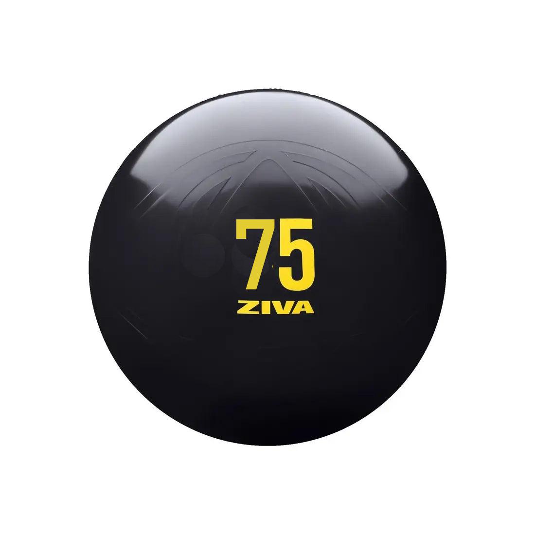 ZVO Anti-Burst Core-Fit Ball - 75 cm-Gym Ball-Pro Sports