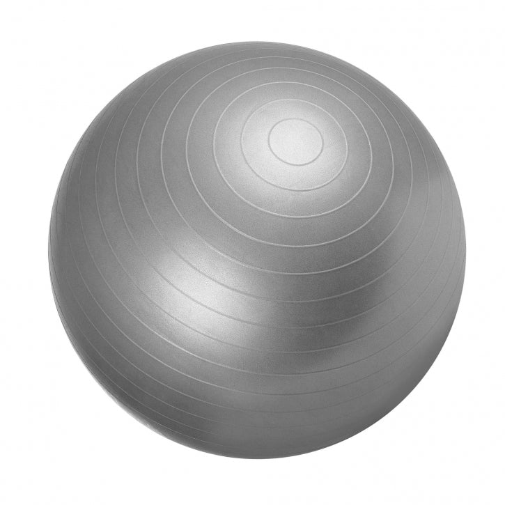 Anti-Burst Stability Ball - 55 cm-Gym Ball-Pro Sports