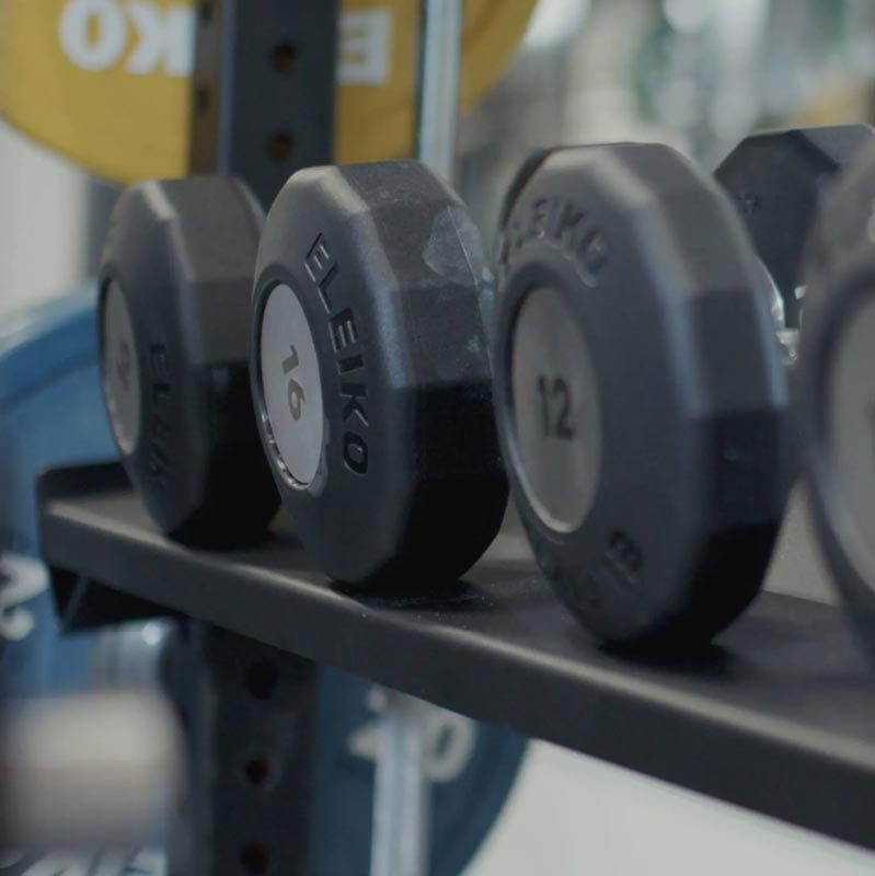 Eleiko Prestera Dumbbell Storage Shelf-Rack Attachments-Pro Sports