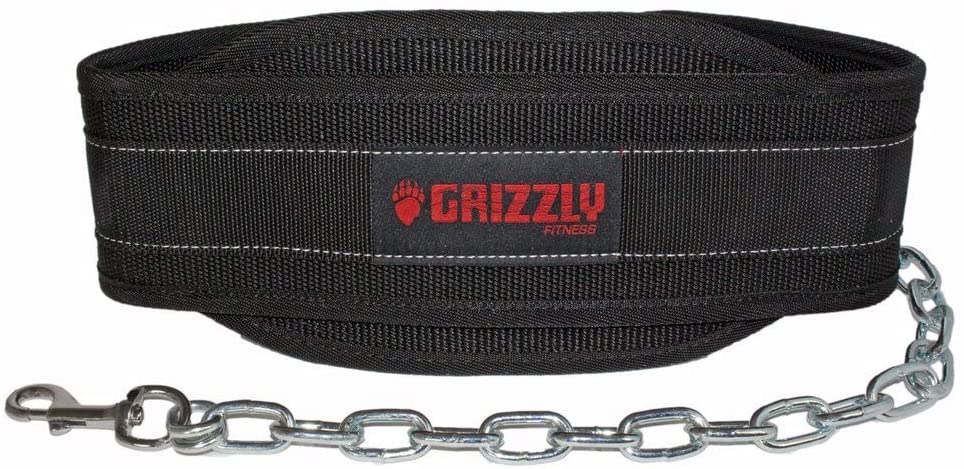 Grizzly Nylon Dipping Belt - Black-Lifting Belt-Pro Sports