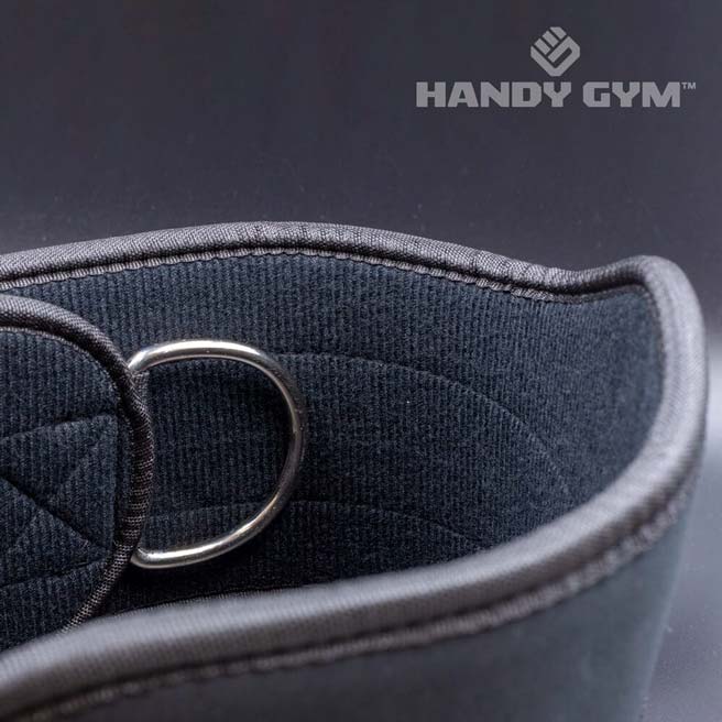 Handy Gym Belt + 2 Carabiners-Handy Gym-Pro Sports