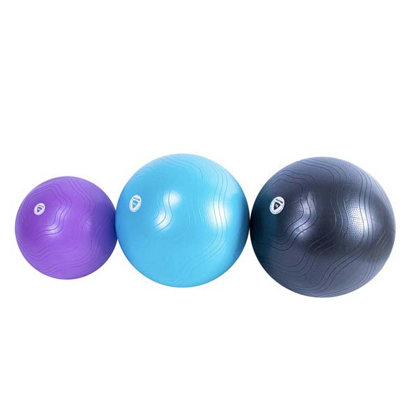 LivePro Anti Burst Core Fit Gym Ball - 55 cm-Gym Ball-Pro Sports