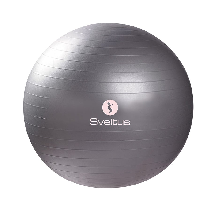 Sveltus Grey Gym Ball - 65 cm-Gym Ball-Pro Sports